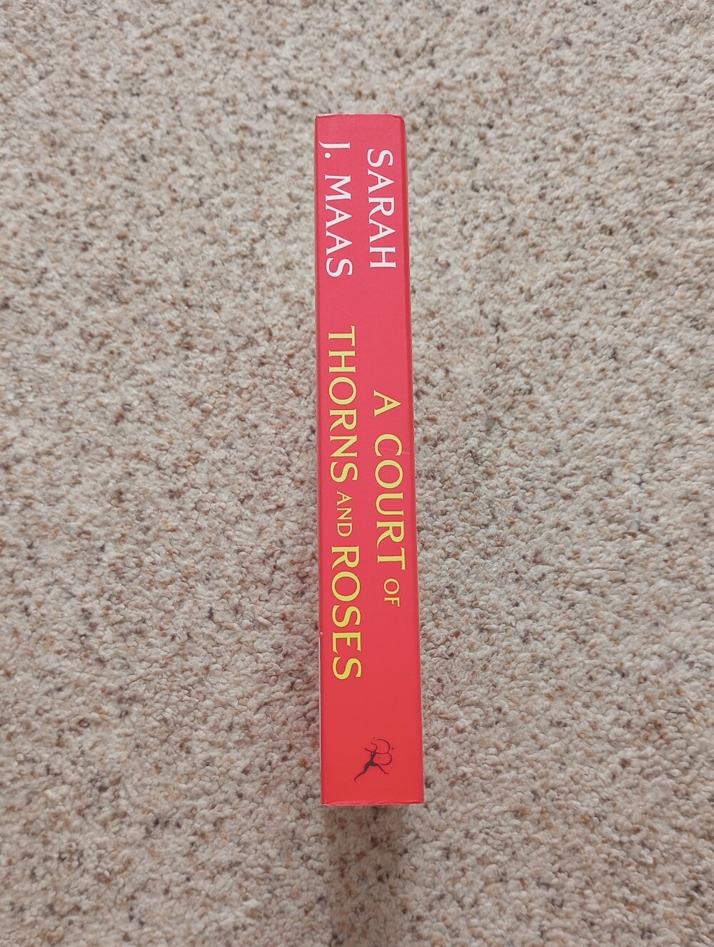 A Court Of Thorns And Roses Sarah J. Maas Book Fantasy Romance - Picture 8 of 12